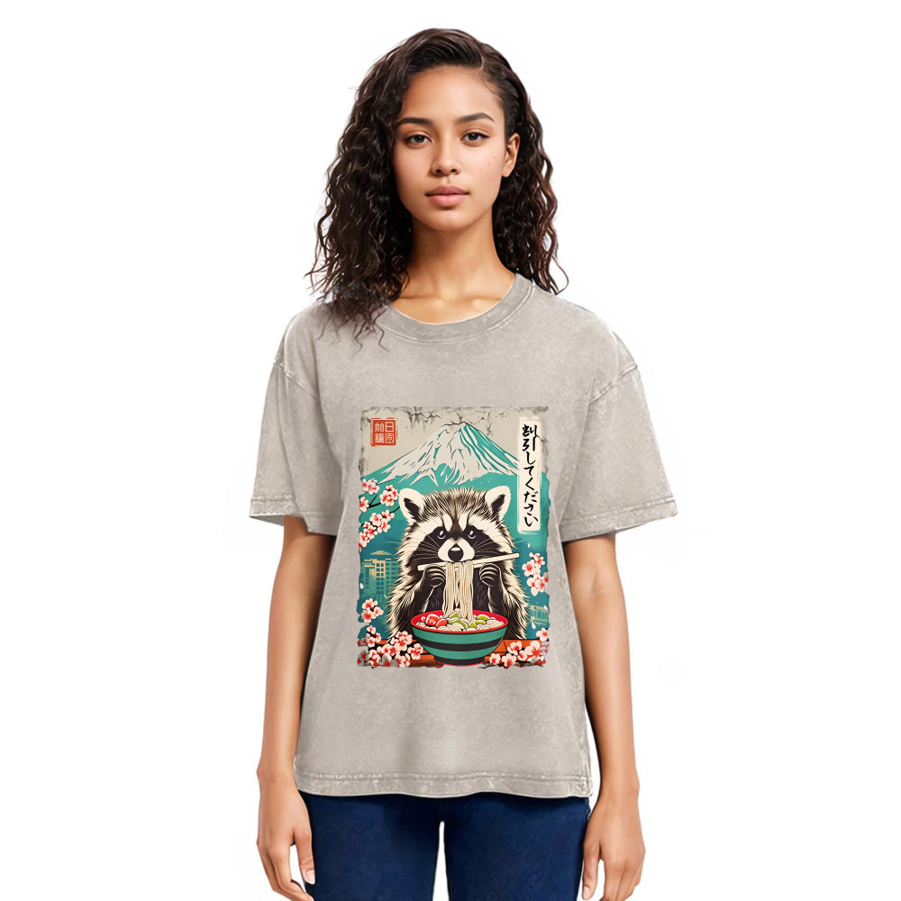 Tokyosol Please Give Raccoon A Discount Back Washed T Shirt