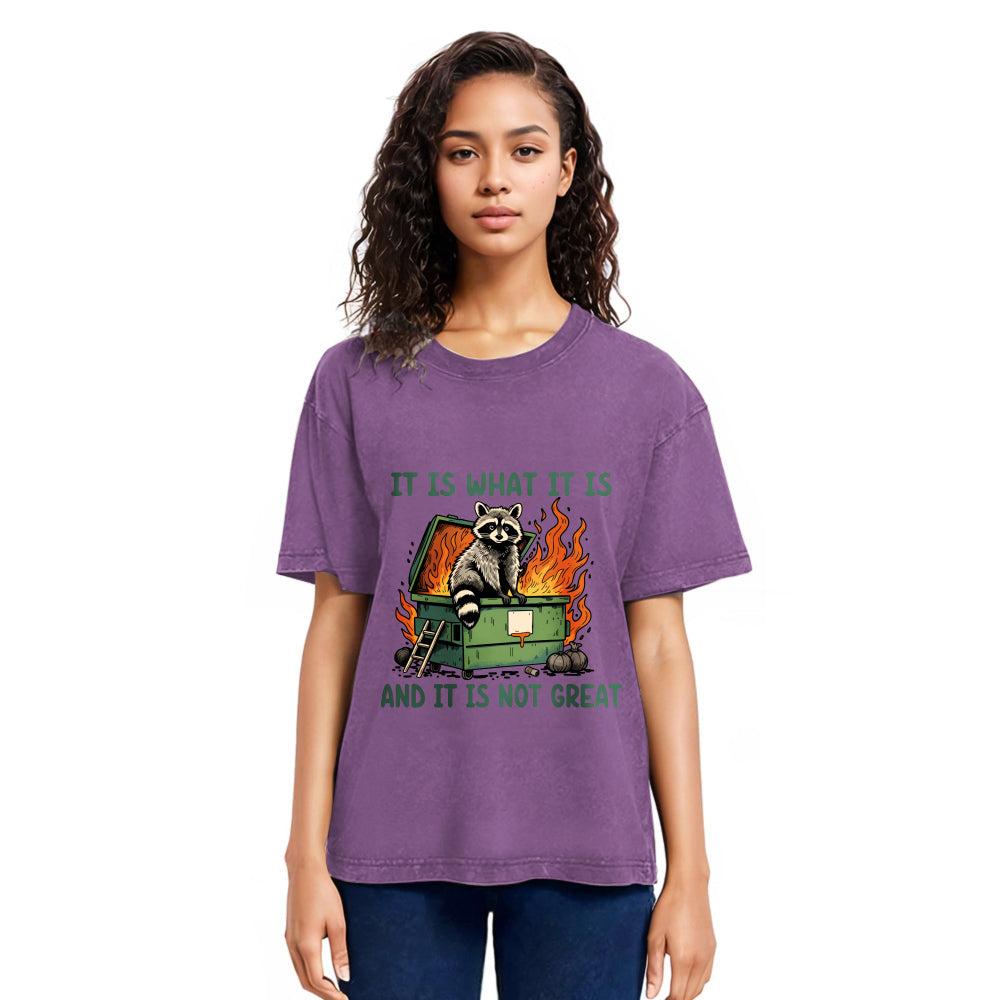 Tokyosol It Is What It Is Dumpster Fire Funny Raccoon Meme Washed T Shirt
