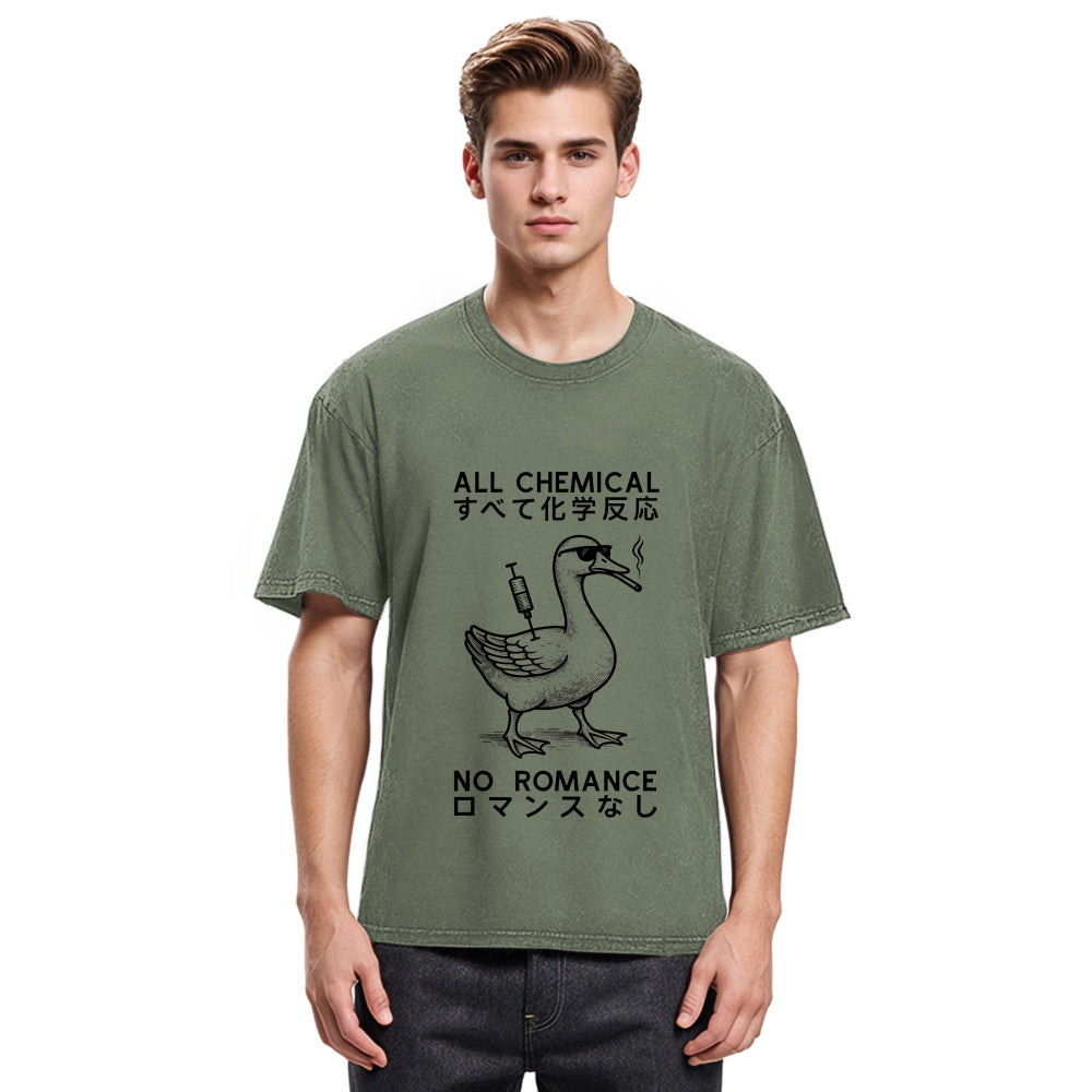 Tokyosol Silly Goose￡oAll Chemical No Romance Washed T-Shirt