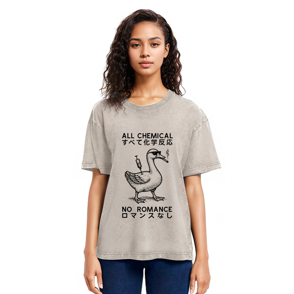 Tokyosol Silly Goose￡oAll Chemical No Romance Washed T-Shirt