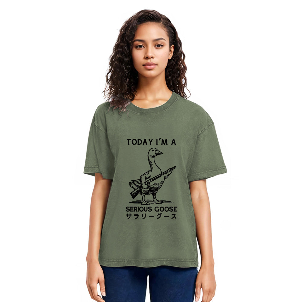 Tokyosol Serious Stupid Goose Women's Crop Raglan T-Shirt