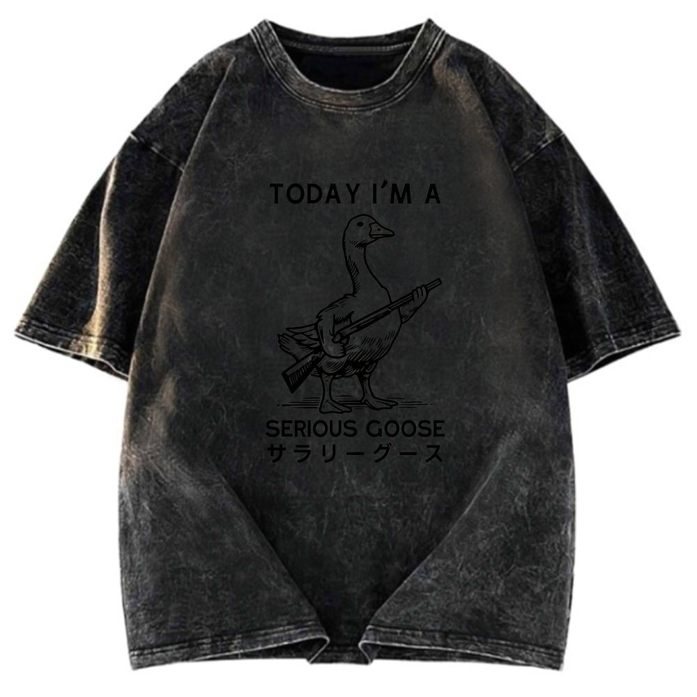 Tokyosol Serious Stupid Goose Women's Crop Raglan T-Shirt