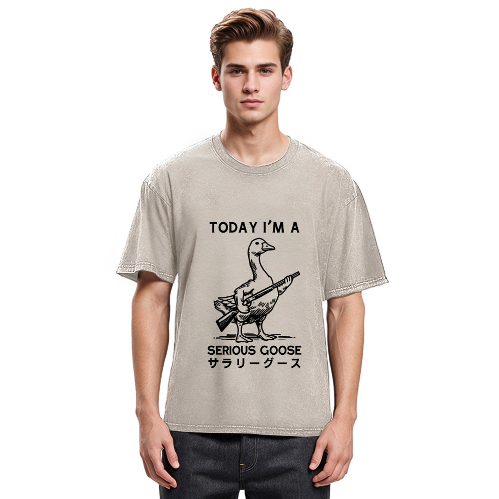 Tokyosol Serious Stupid Goose Women's Crop Raglan T-Shirt