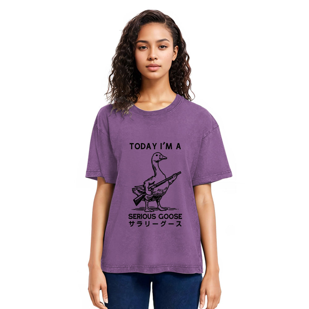 Tokyosol Serious Stupid Goose Women's Crop Raglan T-Shirt