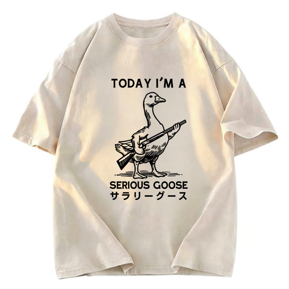 Tokyosol Serious Stupid Goose Women's Crop Raglan T-Shirt