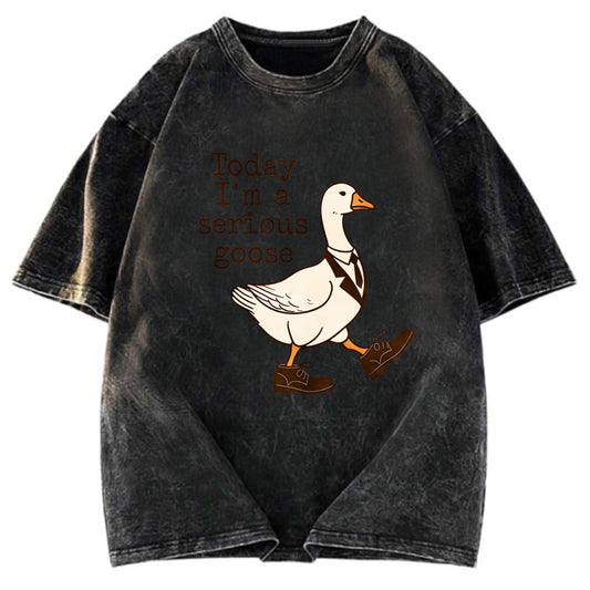 Tokyosol Working And Serious Goose Washed T-Shirt
