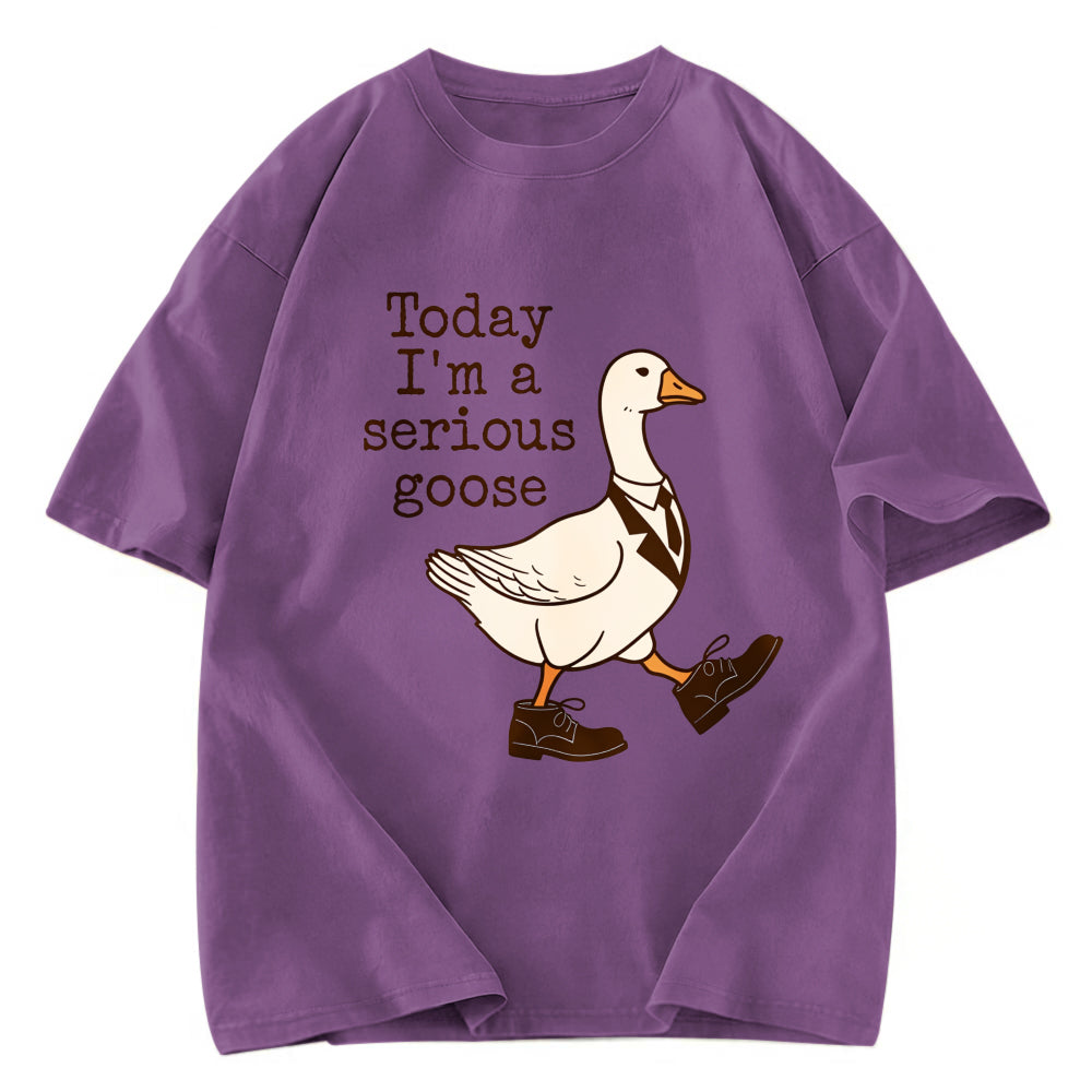 Tokyosol Working And Serious Goose Washed T-Shirt