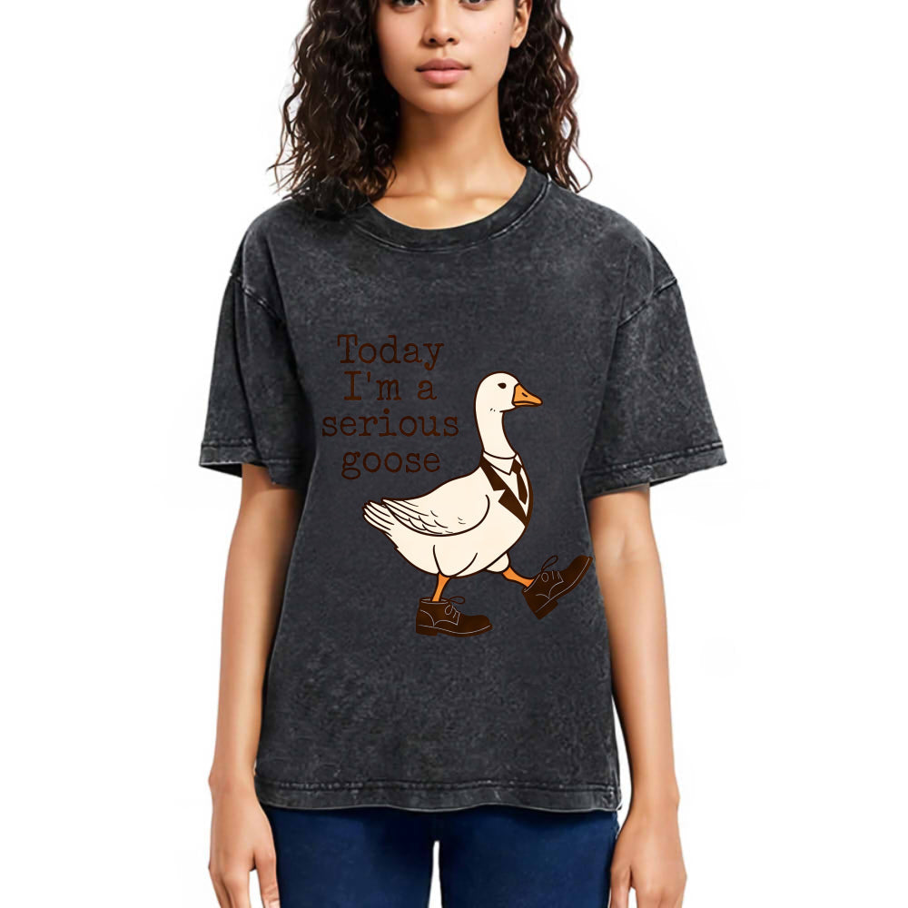 Tokyosol Working And Serious Goose Washed T-Shirt
