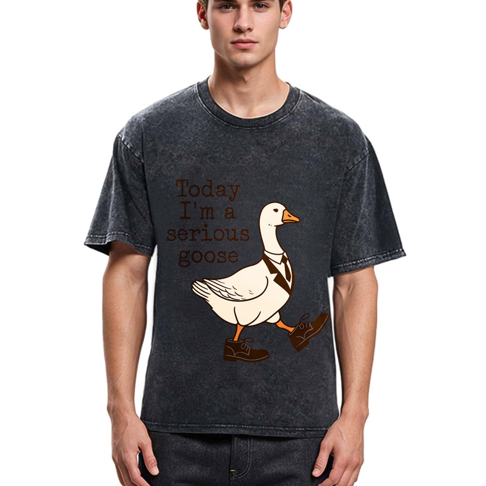 Tokyosol Working And Serious Goose Washed T-Shirt