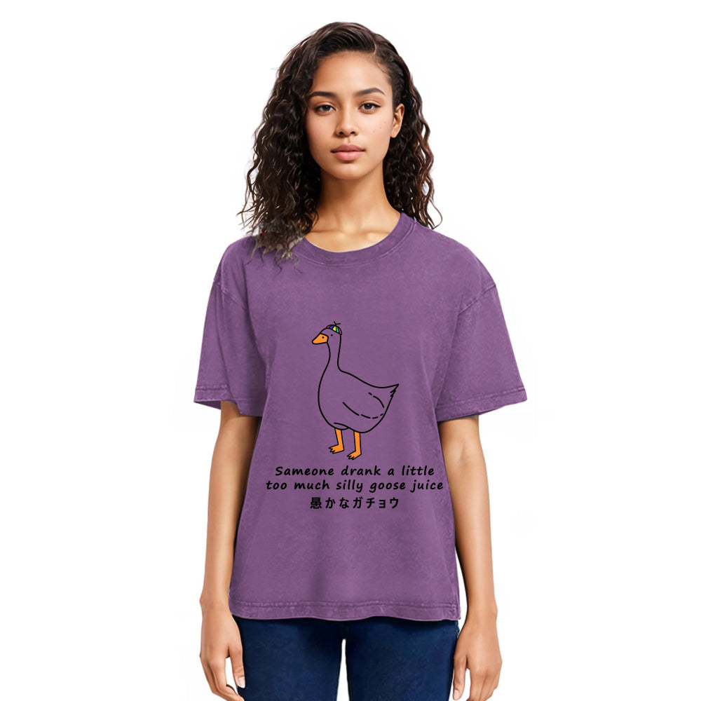Tokyosol Drink More Silly Goose Juice Washed T-Shirt