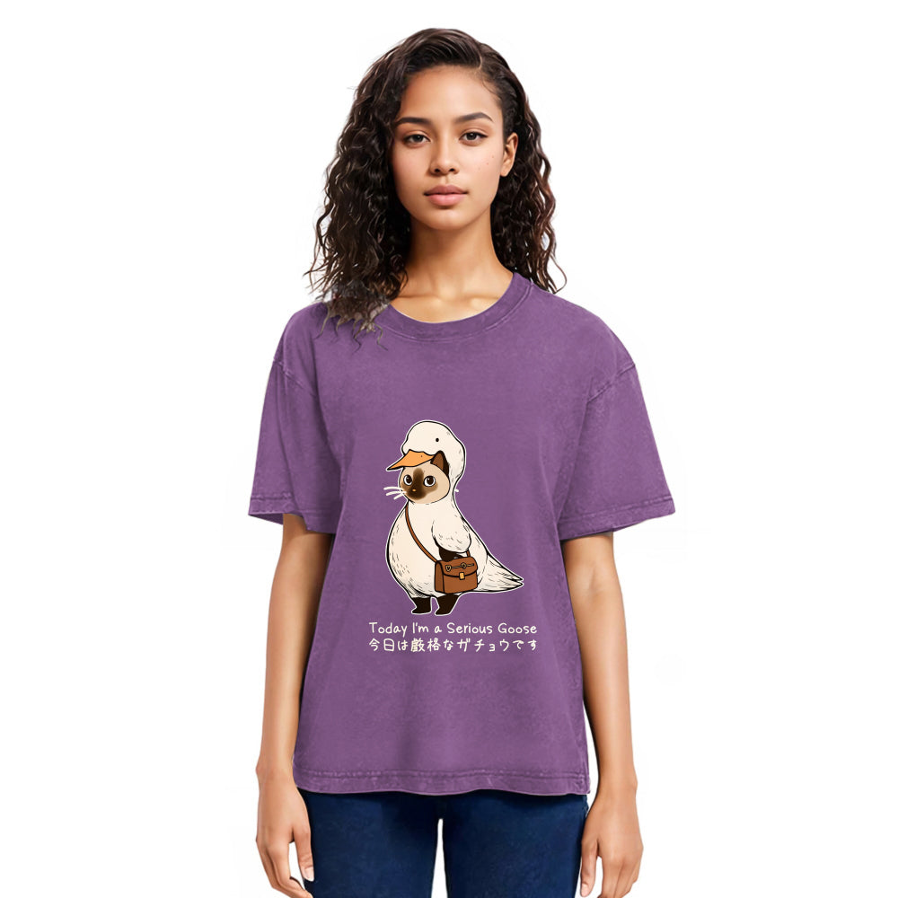Tokyosol Funny Cat to be Serious Goose meme Washed T-Shirt