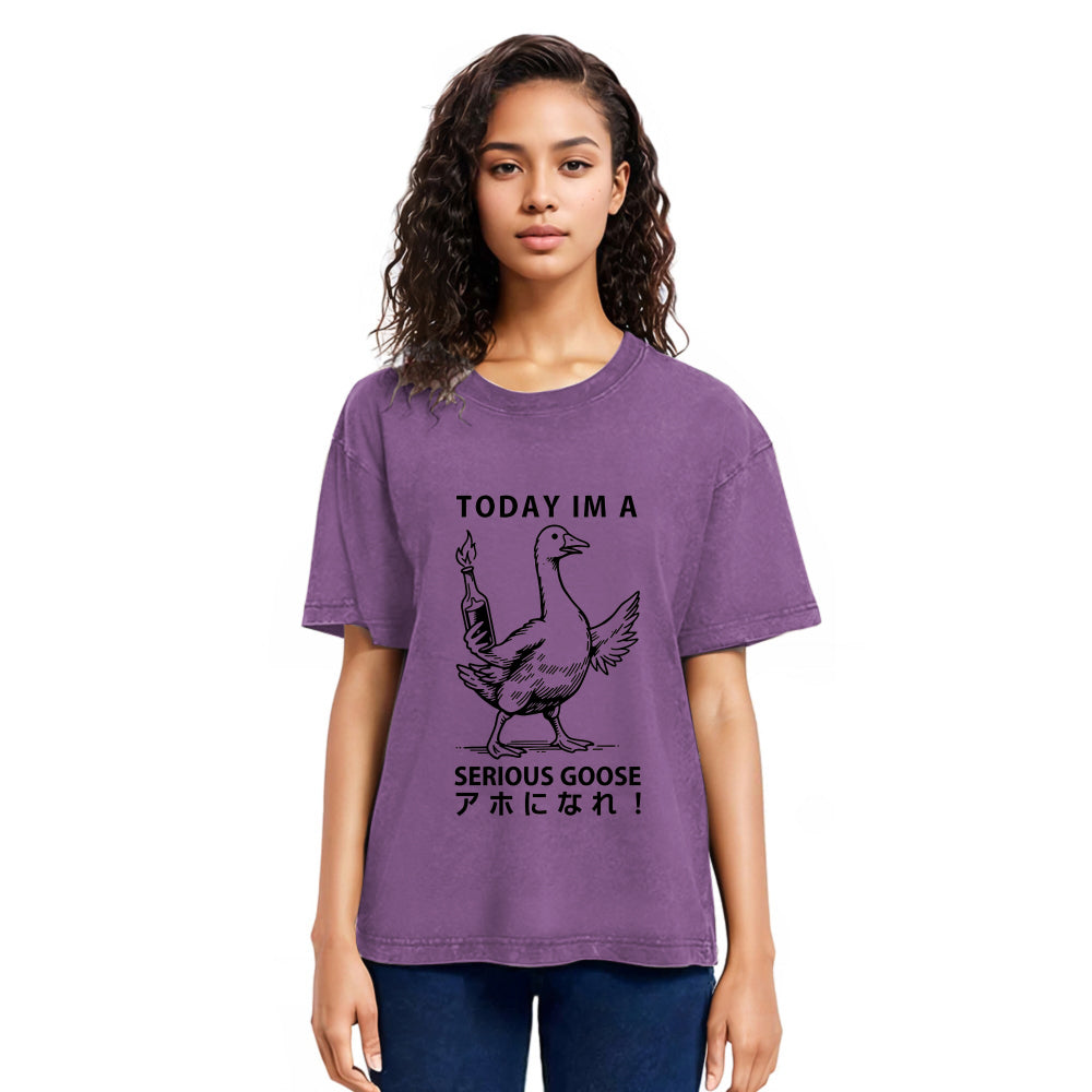 Tokyosol Goose Holding A Fuel Bottle Washed T-Shirt