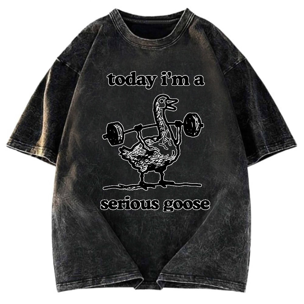 Tokyosol Fitness Goose Washed T-Shirt