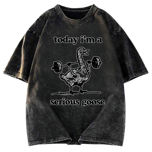 Tokyosol Fitness Goose Washed T-Shirt