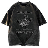 Tokyosol Fitness Goose Washed T-Shirt