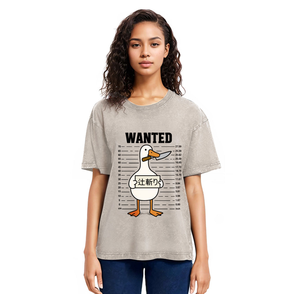 Tokyosol Halloween Goose Washed T-Shirt