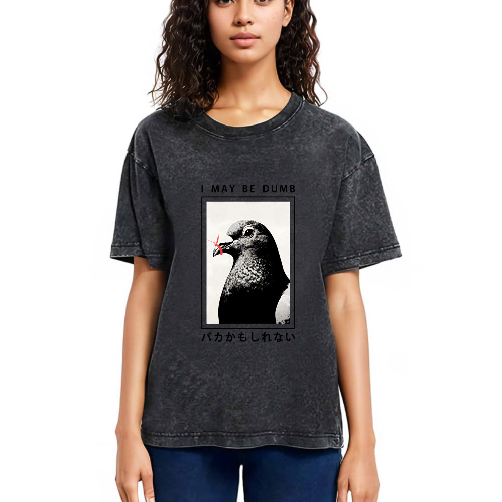 Tokyosol I May Be Dumb Funny Washed T Shirt