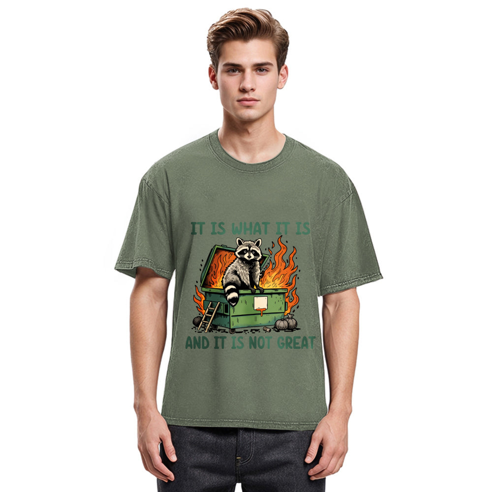 Tokyosol It Is What It Is Dumpster Fire Funny Raccoon Meme Washed T Shirt