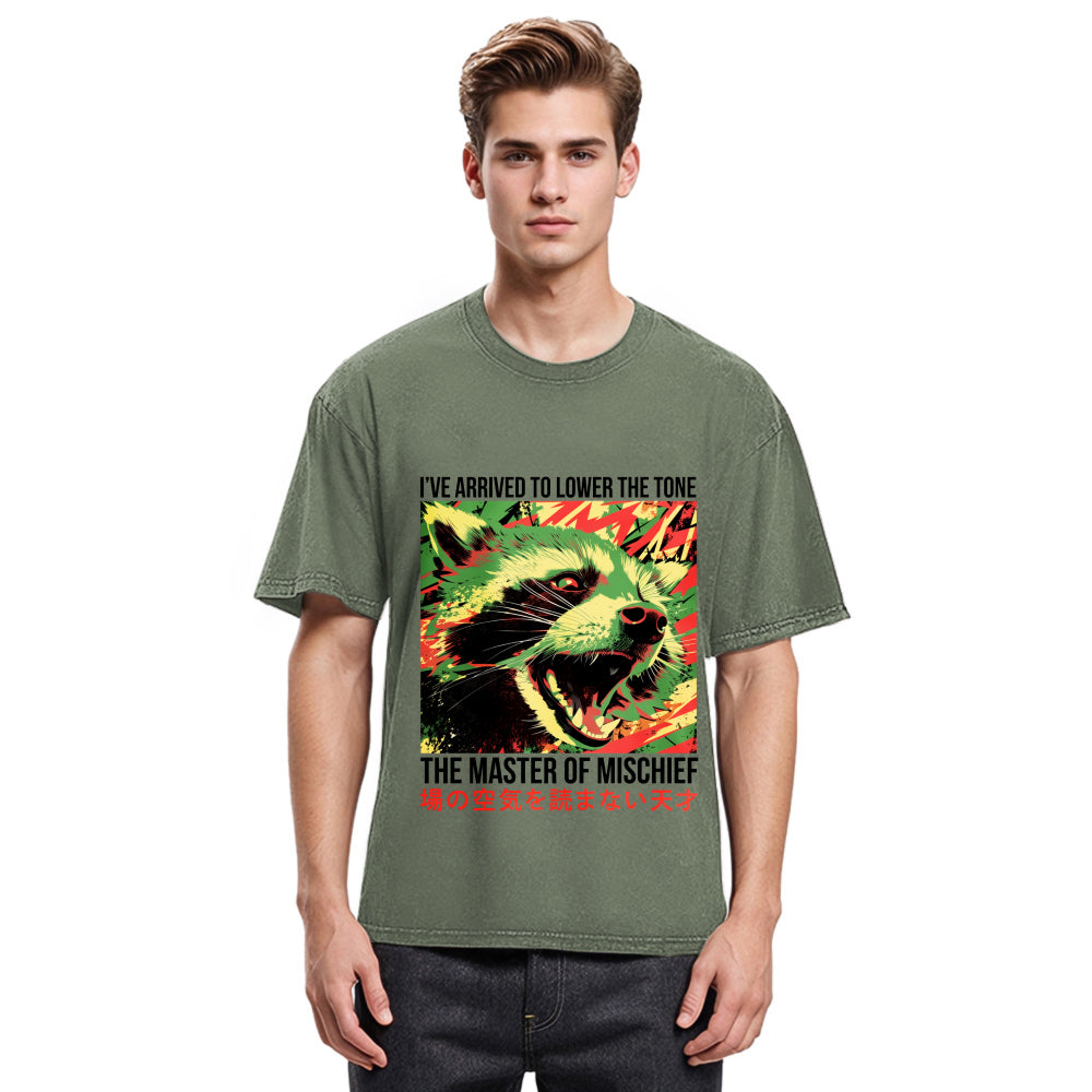 Tokyosol I Ve Arrived To Lower The Tone Washed T Shirt