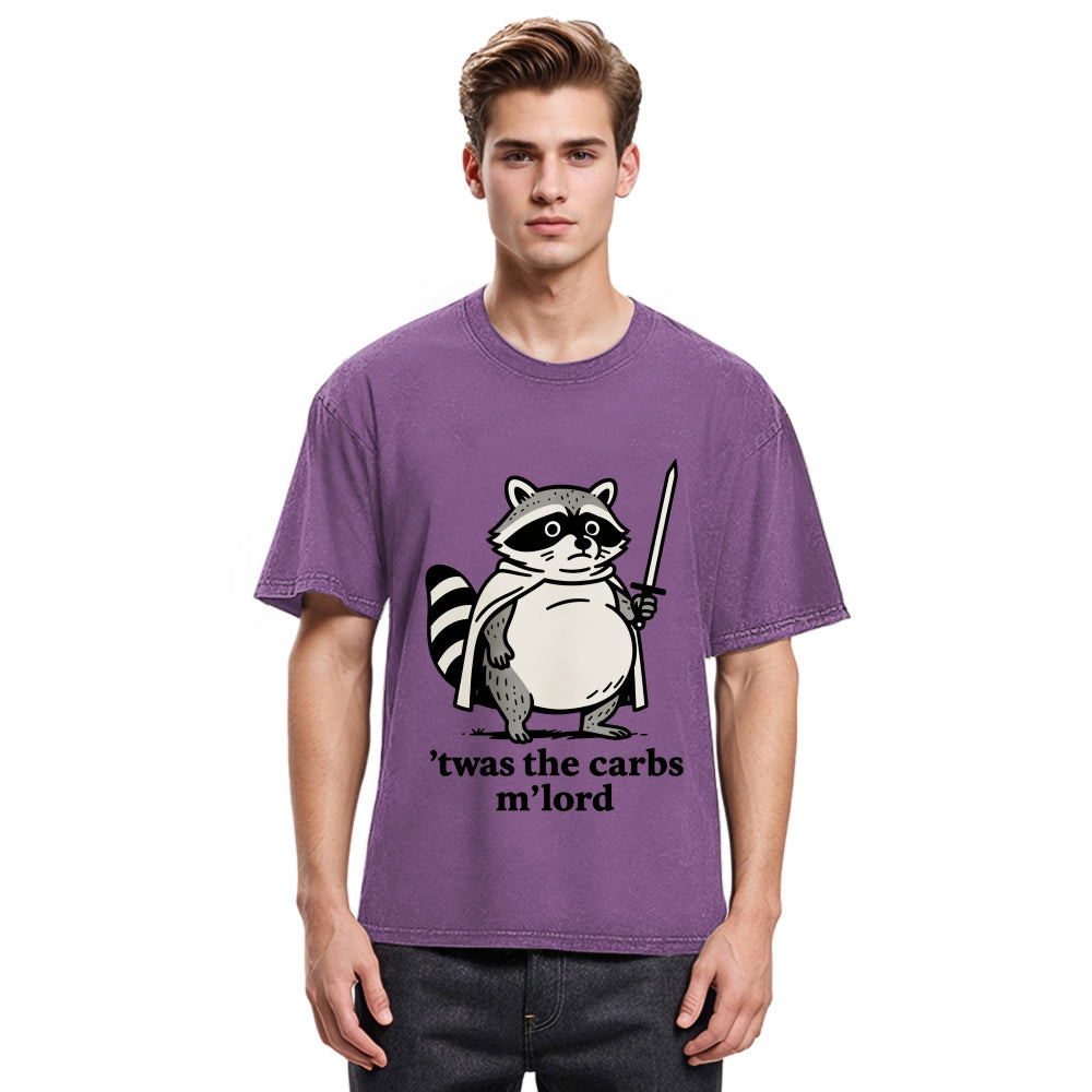Tokyosol Fat Raccoon Sword Humor Washed T Shirt