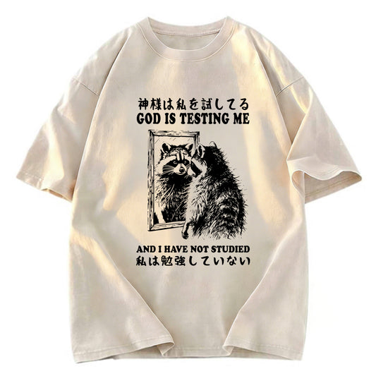 Tokyosol Raccoon Not Studied Washed T Shirt