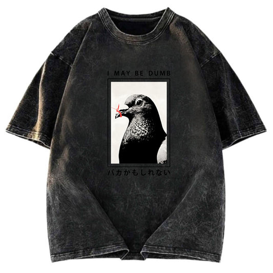 Tokyosol I May Be Dumb Funny Washed T Shirt