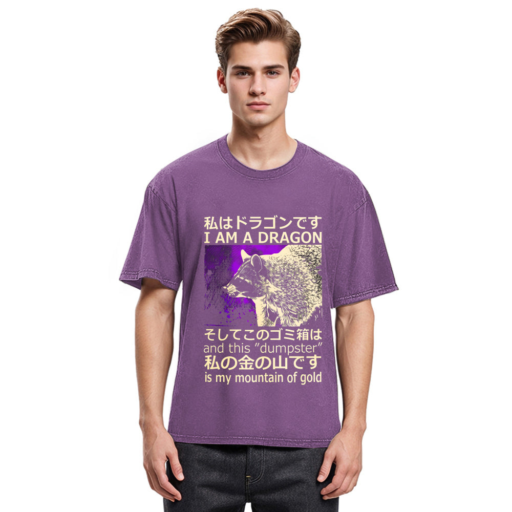 Tokyosol I Am A Dragon And This Dumpster Is My Mountain Of Gold Washed T Shirt