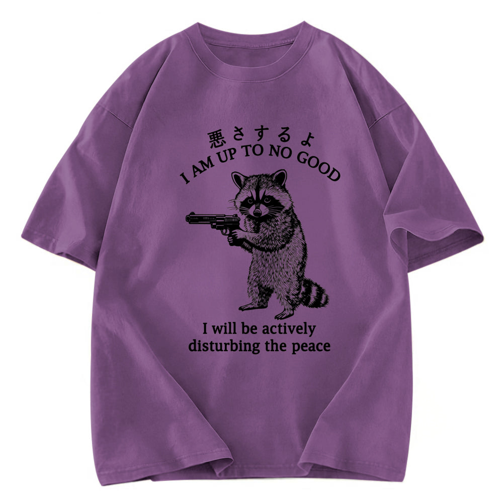 Tokyosol Raccoon Disturbing The Peace Washed T Shirt
