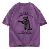 Tokyosol Raccoon Disturbing The Peace Washed T Shirt