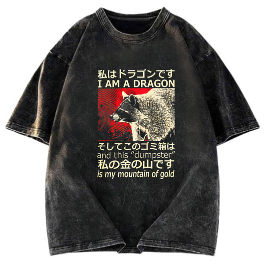 Tokyosol I M A Dragon And This Dumpster Is My Mountain Of Gold Washed T Shirt
