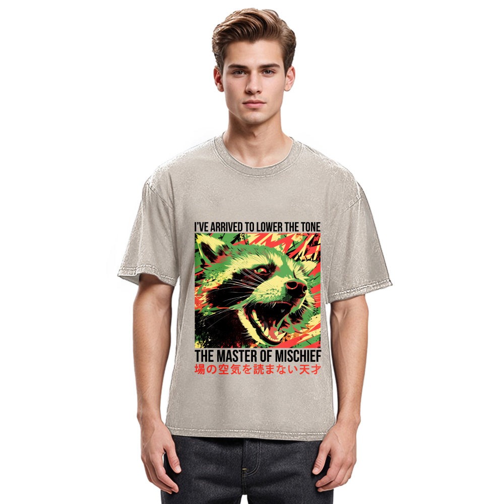 Tokyosol I Ve Arrived To Lower The Tone Washed T Shirt
