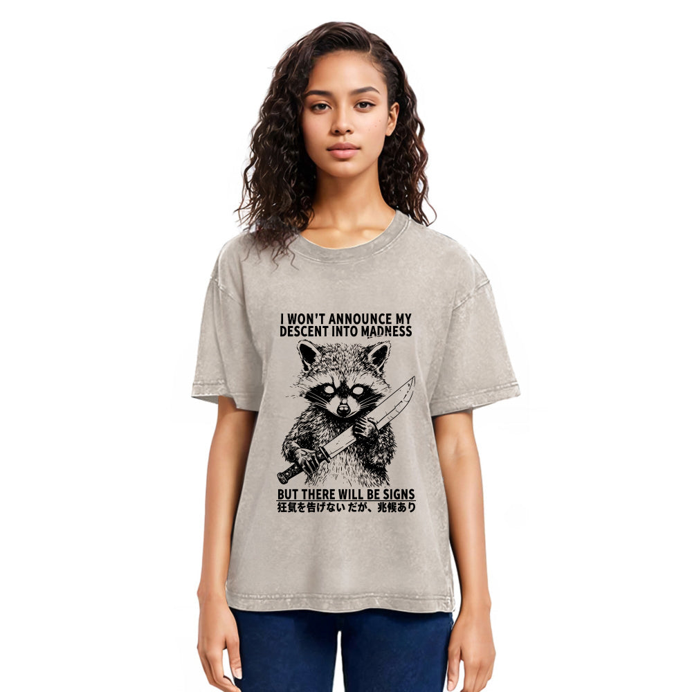 Tokyosol Raccoon Goes Into Madness Washed T Shirt