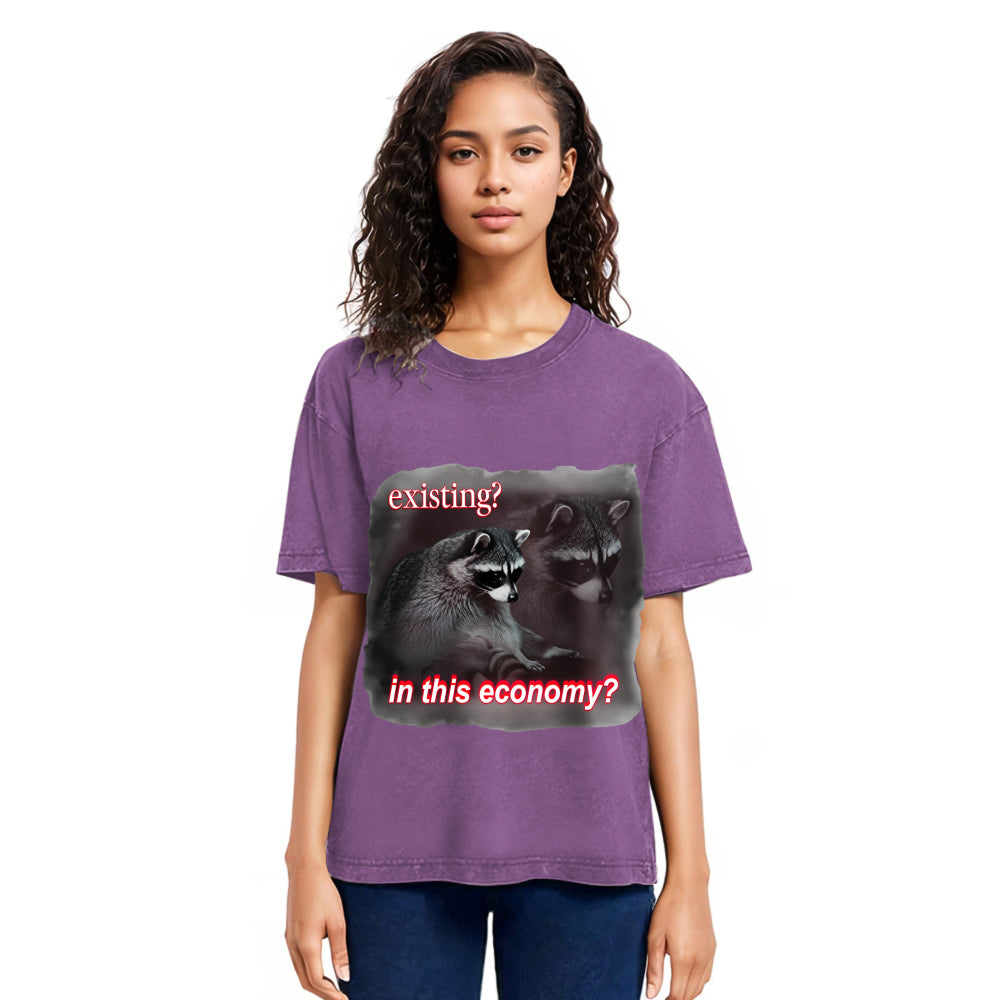 Tokyosol Economy Raccoon Meme Washed T Shirt