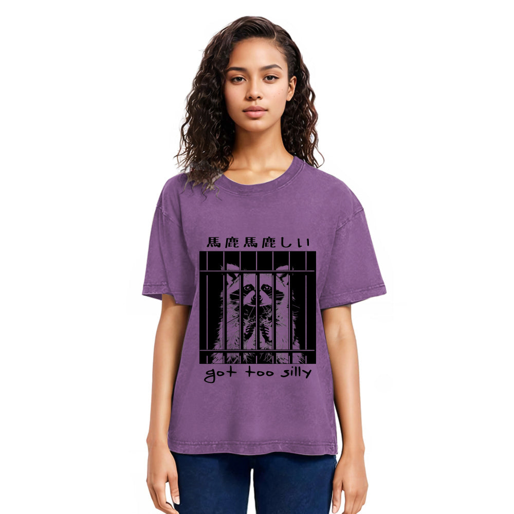 Tokyosol Raccoon Got Too Silly Classic T Shirt