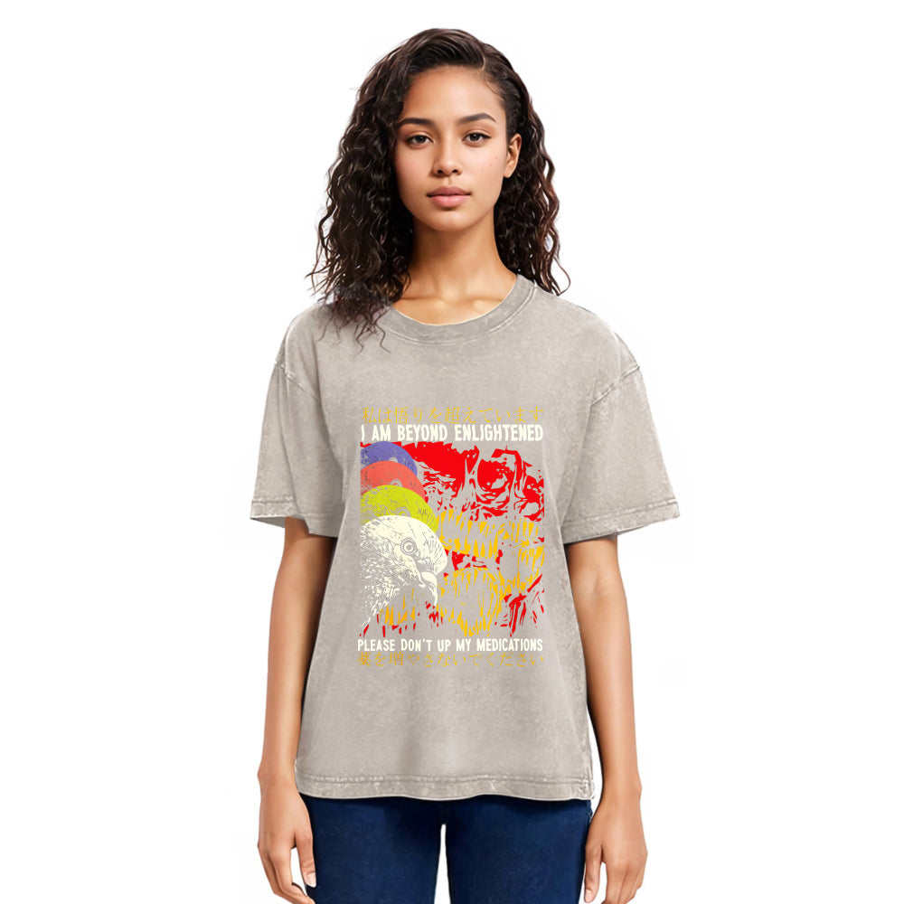Tokyosol Beyond Enlightened Vintage Pigeon Washed T Shirt