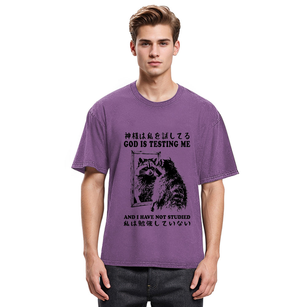 Tokyosol Raccoon Not Studied Classic T Shirt