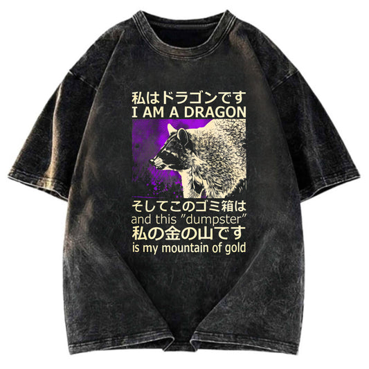 Tokyosol I Am A Dragon And This Dumpster Is My Mountain Of Gold Washed T Shirt
