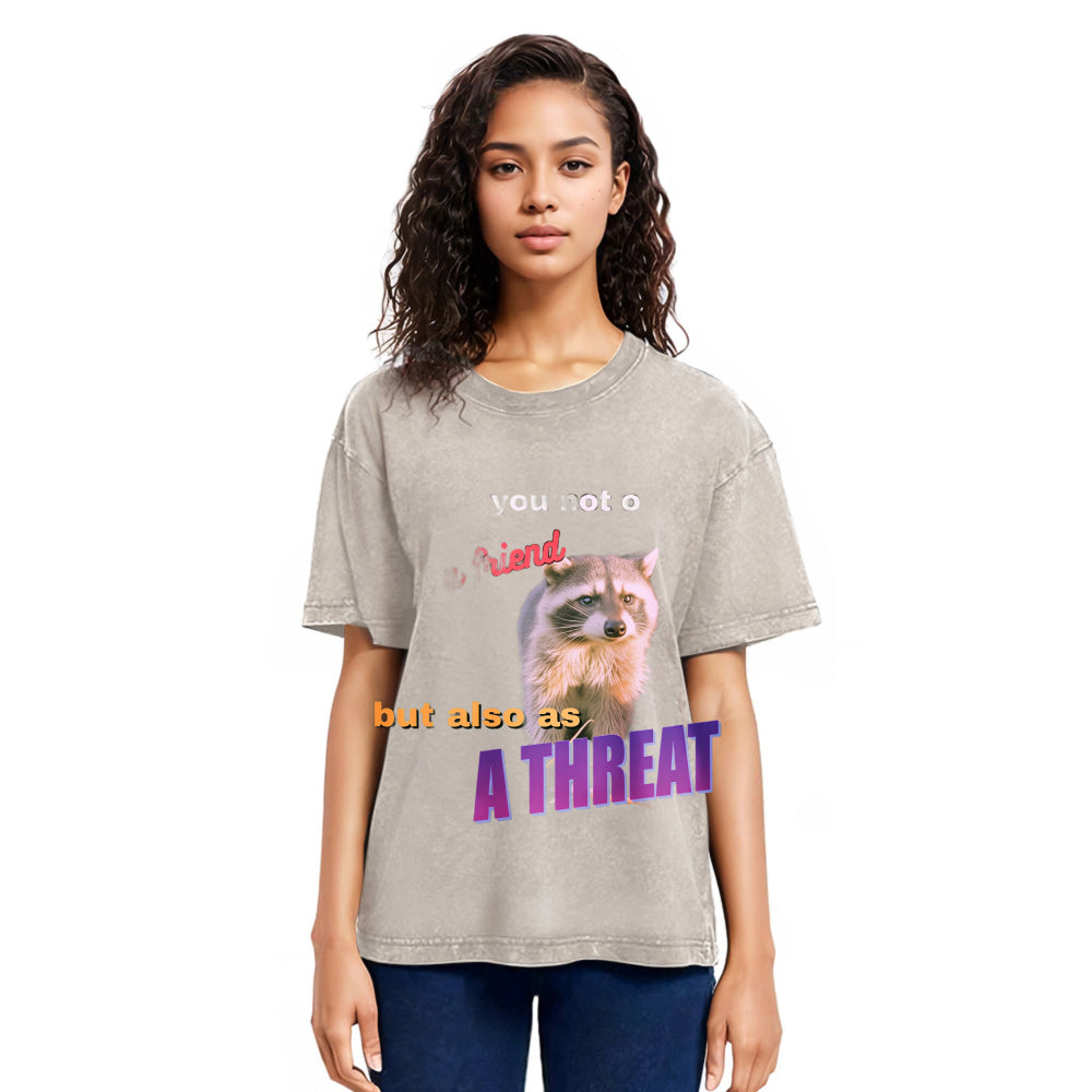 Tokyosol Viral Raccoon Meme Washed T Shirt