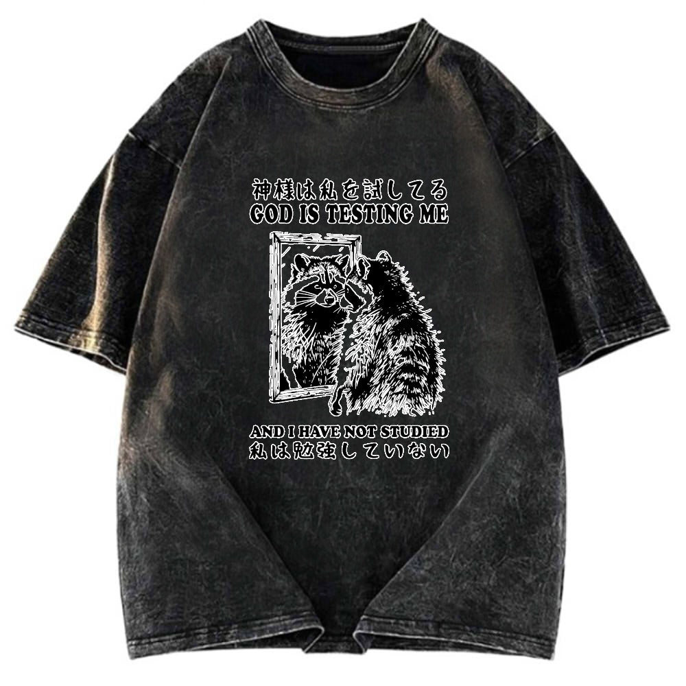Tokyosol Raccoon Not Studied Classic T Shirt