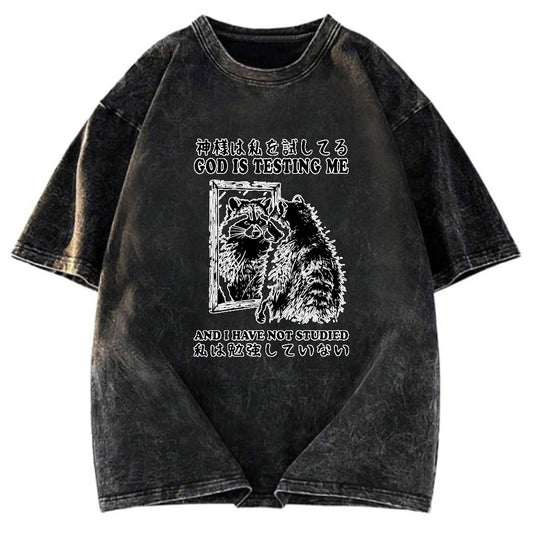 Tokyosol Raccoon Not Studied Classic T Shirt
