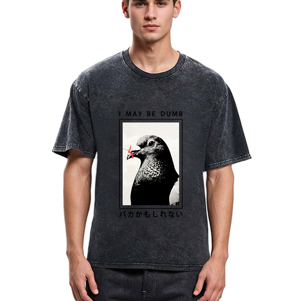 Tokyosol I May Be Dumb Funny Washed T Shirt