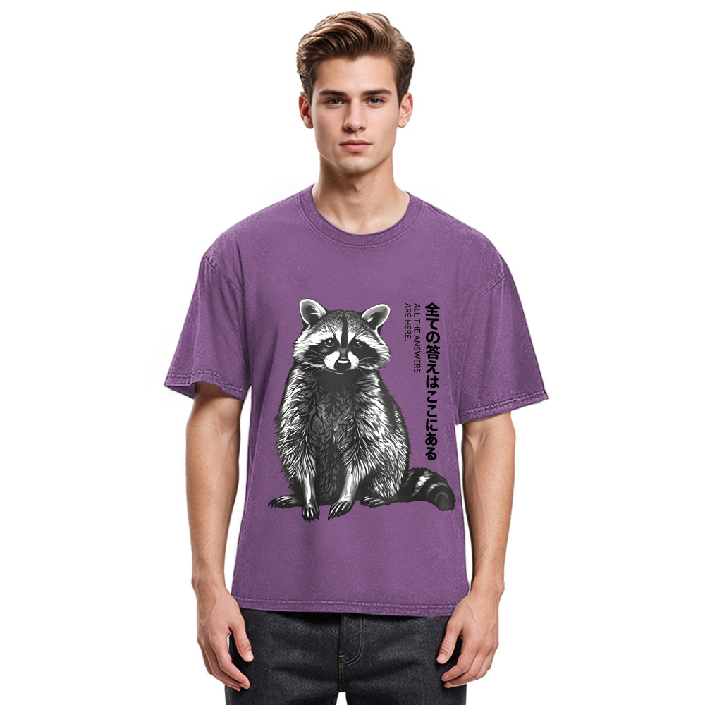 Tokyosol Funny Kawaii Raccoon Washed T Shirt