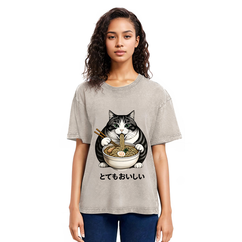 Tokyosol Fat Cat Eating Delicious Ramen Washed T Shirt