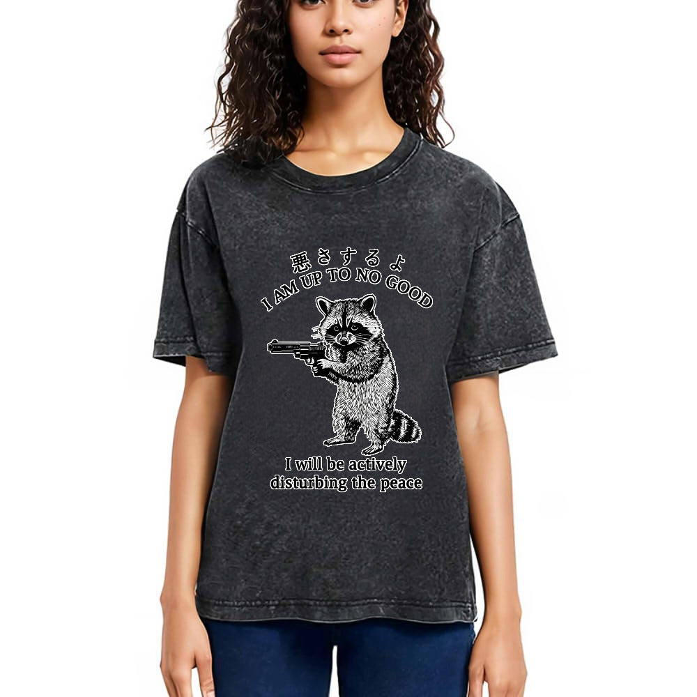 Tokyosol Raccoon Disturbing The Peace Washed T Shirt