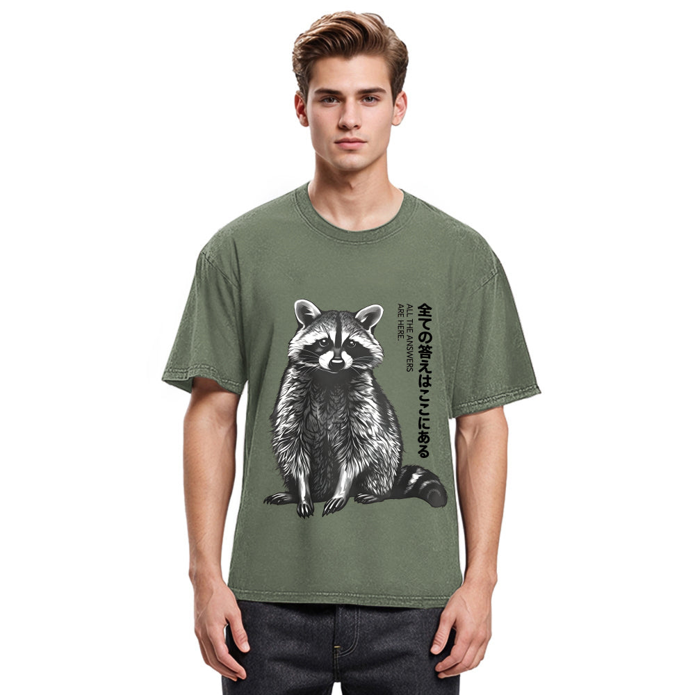 Tokyosol Funny Kawaii Raccoon Washed T Shirt
