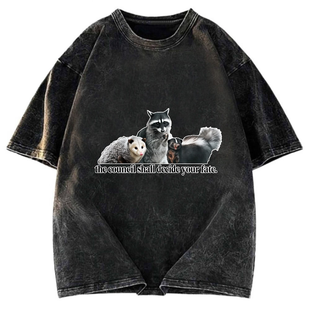 Tokyosol The Council Shall Decide Your Fate Washed T Shirt