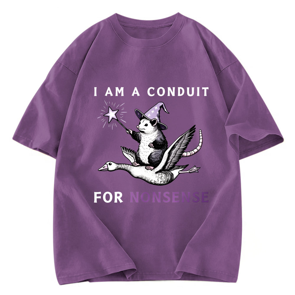 Tokyosol Opossum Riding Flying Goose Washed T Shirt