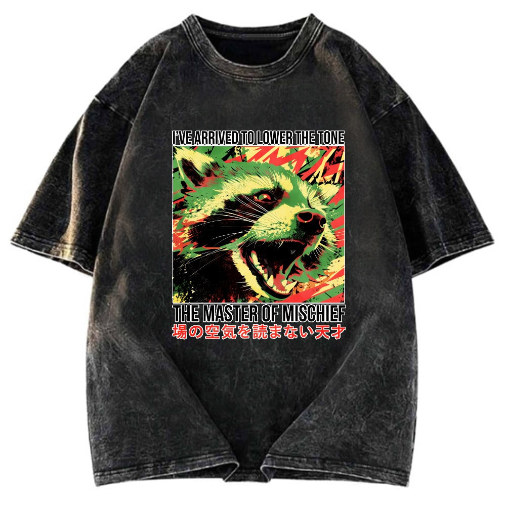 Tokyosol I Ve Arrived To Lower The Tone Washed T Shirt