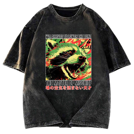 Tokyosol I Ve Arrived To Lower The Tone Washed T Shirt