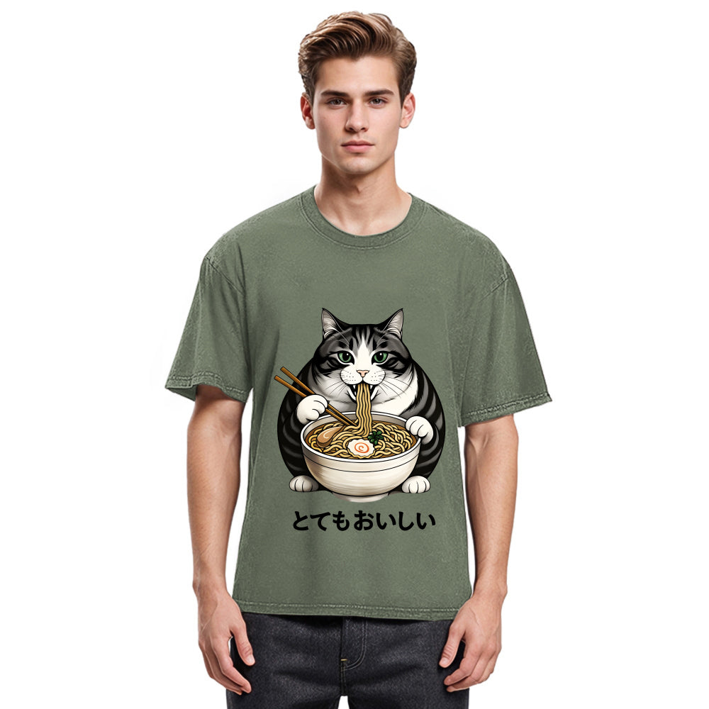 Tokyosol Fat Cat Eating Delicious Ramen Washed T Shirt